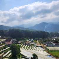 น้ำตกวชิรธาร - อุทยานแห่งชาติดอยอินทนนท์