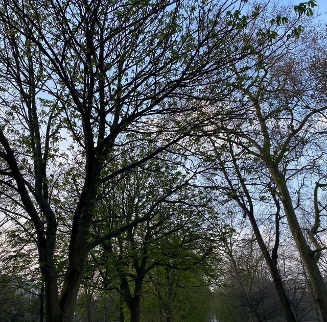倫敦荷蘭公園：城市中的世外桃源