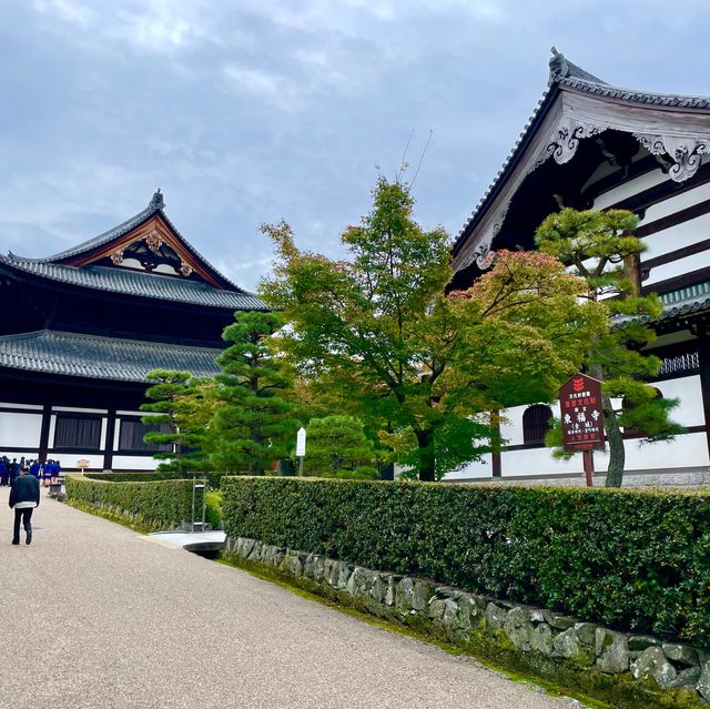 Tofuku-ji: Zen Tranquility Blooms