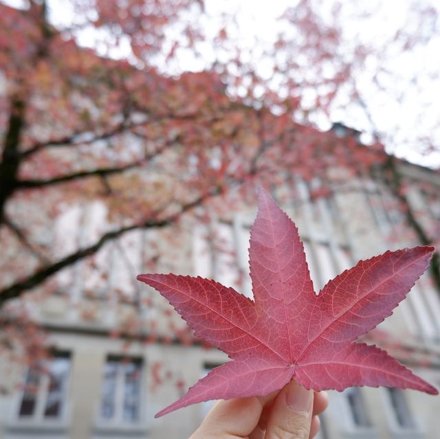 City walk in Zurich 