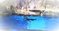 Ocean Park Hong Kong