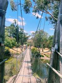 Suspension Bridge || Swing Birdge, York, WA📸