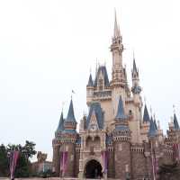 【夢の国🏰ディズニーランド】