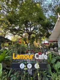 คาเฟ่บ้านเหลืองสไตล์ยุโรป มาเชียงใหม่ต้องแวะ
