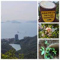 快閃大學堂✨️薄扶林水塘路>山頂輕鬆遊