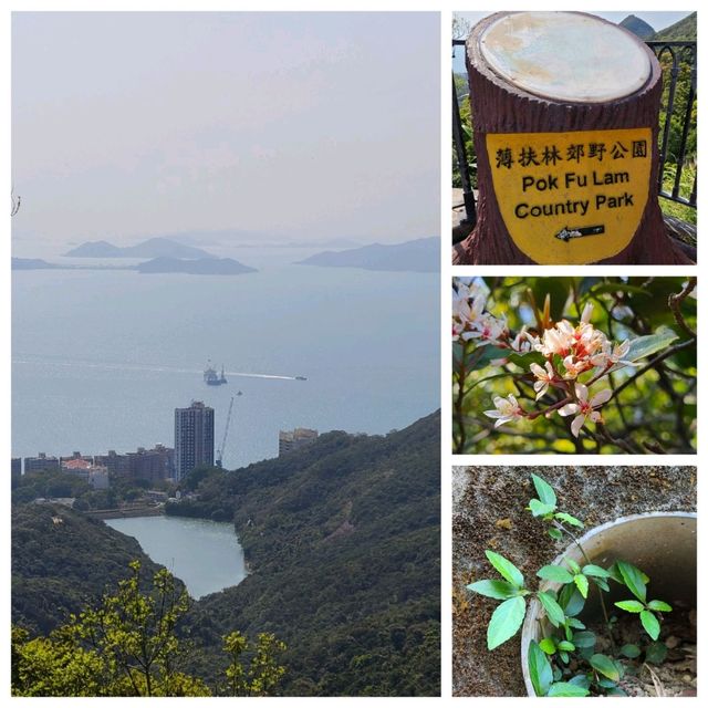 快閃大學堂✨️薄扶林水塘路>山頂輕鬆遊