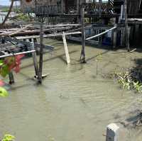 ศูนย์อนุรักษ์ป่าชายเลนคลองโคน