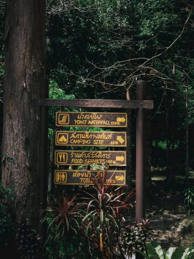 อุทยานแห่งชาติน้ำตกโยง อ.ทุ่งสง จ.นครศรีธรรมราช 