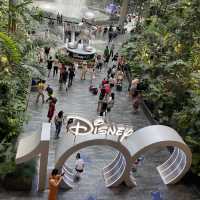 Jewel Changi Airport + Disney 100th