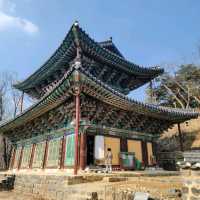 피크닉을 즐기기에 좋은 공주 절 여행 마곡사