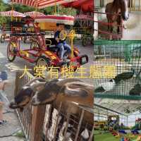 充滿兒童遊樂設施既農場