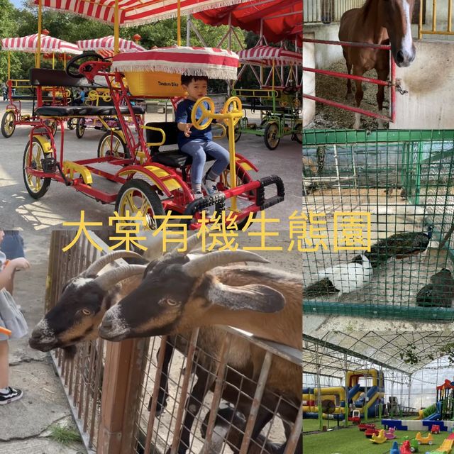 充滿兒童遊樂設施既農場