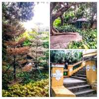 白鴿巢公園🤩奇幻園林風