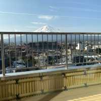 絕美富士山溫泉旅館#湖南莊#