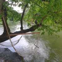 River Tales แก่งกระจาน