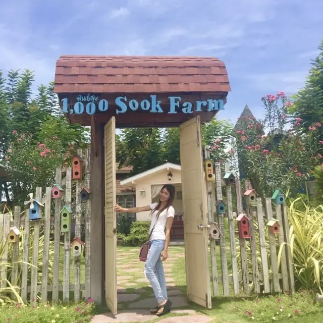 1000 Sook Farm 