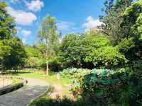 台北｜☀️🌳🍃綠色文學步道📍 Beitou Park 北投公園