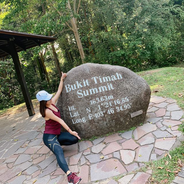 Conquering Heights: Trekking Triumphs