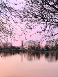 Perfect Sunset spot in Bengaluru 😍 