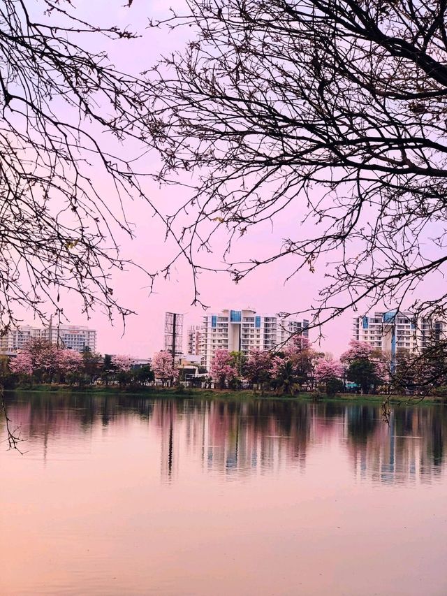 Perfect Sunset spot in Bengaluru 😍 