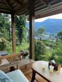 ไปเที่ยว Mori Natural Farm ที่เชียงใหม่กัน!🌳