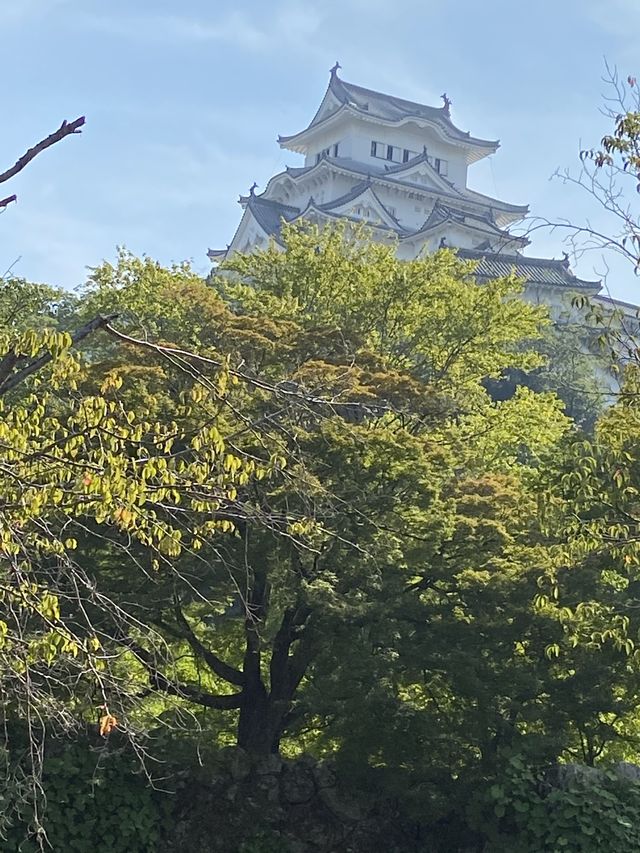 【兵庫観光】世界遺産・姫路城周辺をぶらり🏯