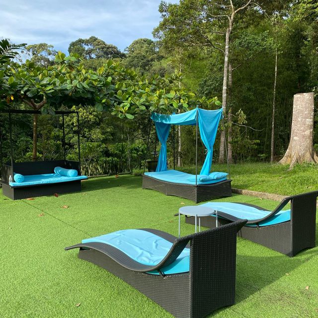 Beautiful resort in the nature, Fifty4Fern