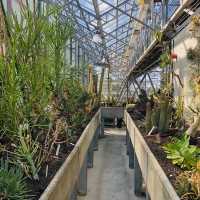 荷蘭🇳🇱 Hortus botanicus Leiden萊頓植物園🌵🪴室內篇