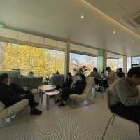 Autumn Seoul Cafe with the Best foliages view