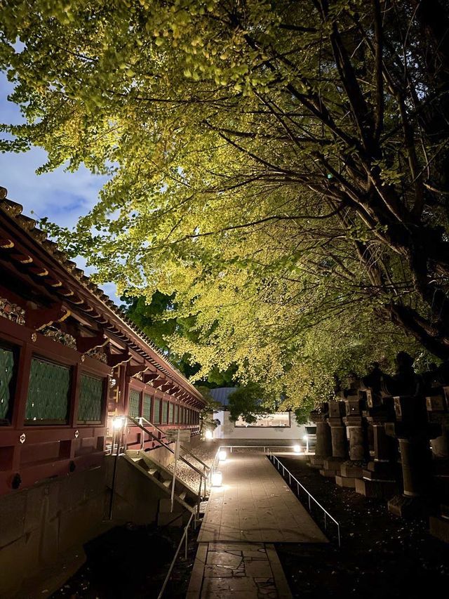 【東京都/上野東照宮】夜間ライトアップ