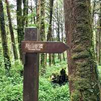 The Gorgeous Alishan Nature Reserve