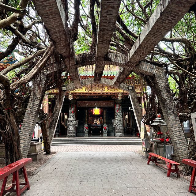 台灣 澎湖 