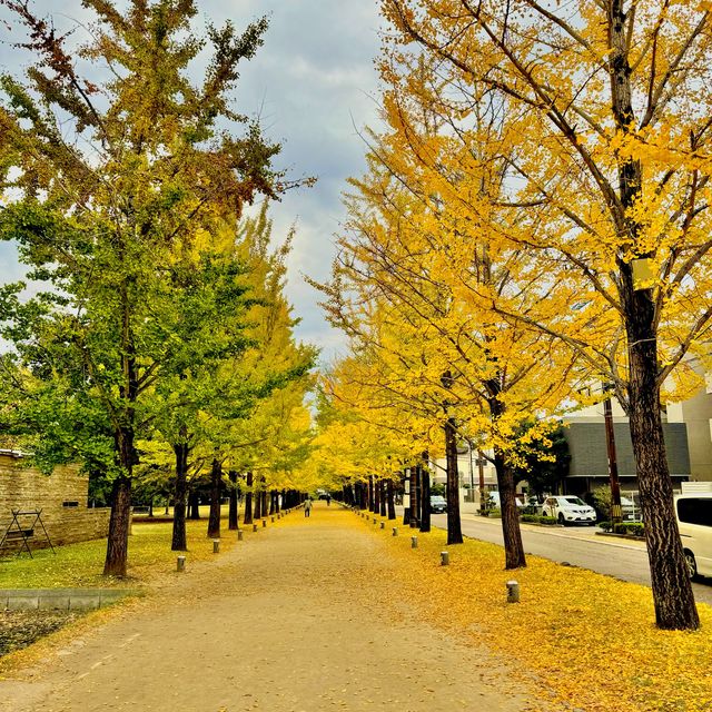 学びの森
