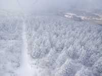 ❄️日本山形縣藏王山三種體驗：溫泉♨️滑雪⛷️樹冰❄️