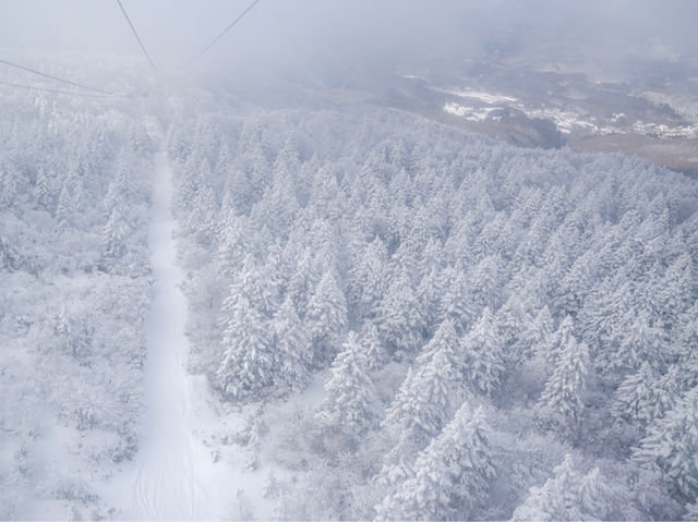 ❄️日本山形縣藏王山三種體驗：溫泉♨️滑雪⛷️樹冰❄️