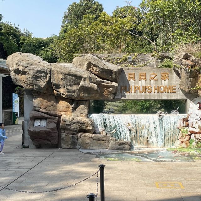 香港人後花園☺️雀鳥嘅天堂🪿🦆🐦‍⬛