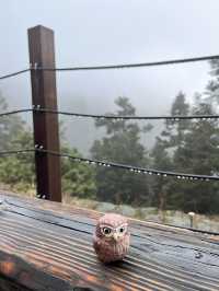 🏔️ 台灣最高峰玉山 3952 公尺🚩台灣百岳挑戰成功！