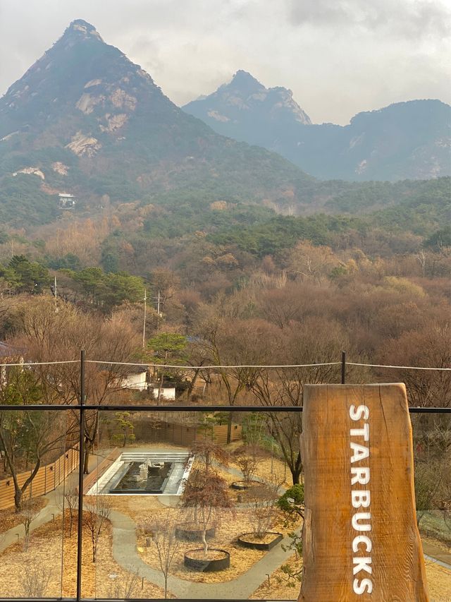 북한산을 한 눈에 담을 수 있는 스타벅스가 있다!?👀
