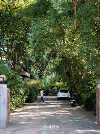 🌳🍵TOKIZEN Farm & Cafe คาเฟ่ร่มรื่นย่านบางขุนนนท์