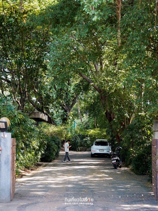 🌳🍵TOKIZEN Farm & Cafe คาเฟ่ร่มรื่นย่านบางขุนนนท์