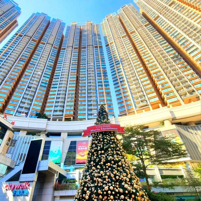 The joy of Christmas is best felt when standing in front of a beautifully decorated tree🎄