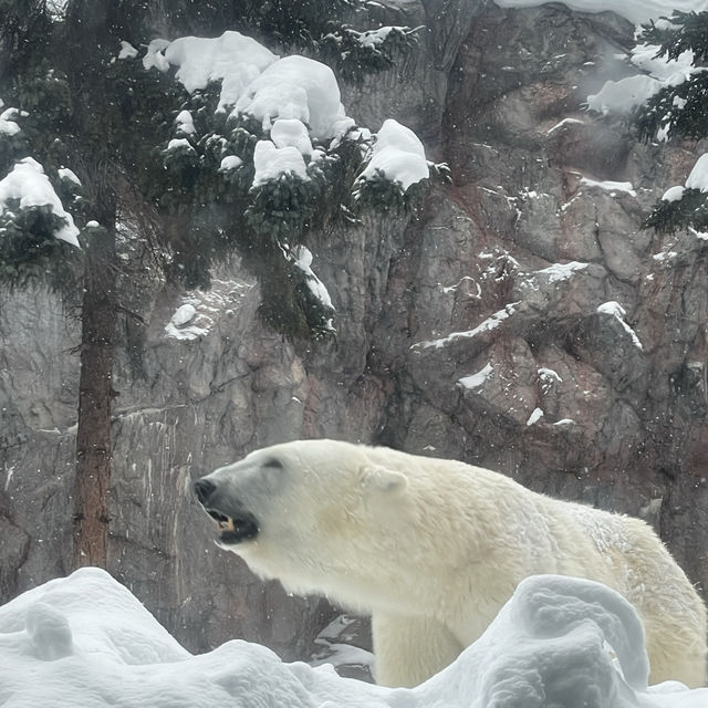 Asashiyama Zoo