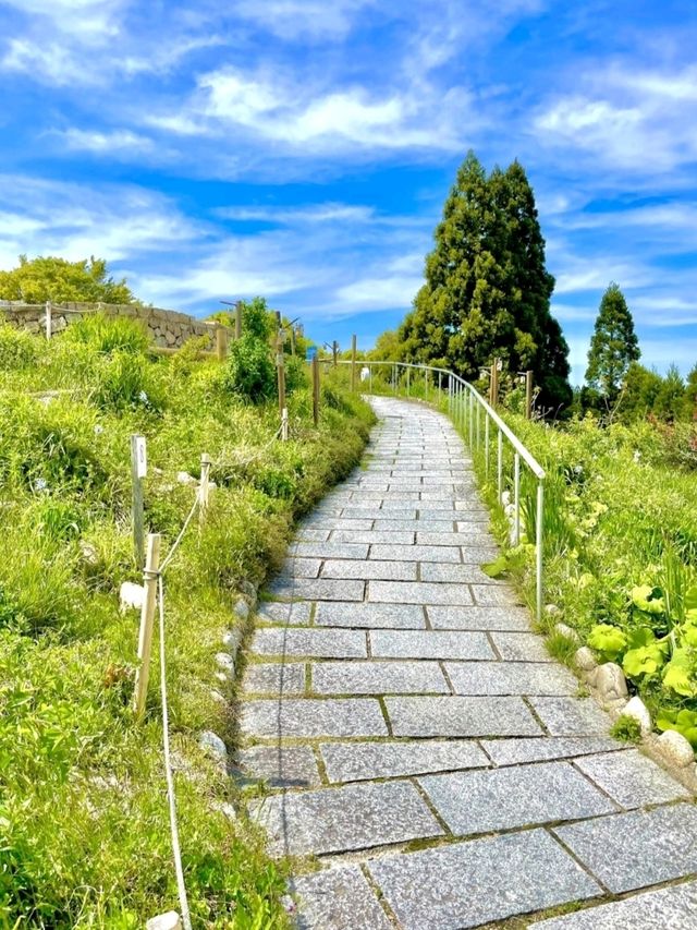 【神戸/展望台】映え確定😋🤚空がアート！自然とアートの融合、展望台！山から眺める神戸の景色🪟