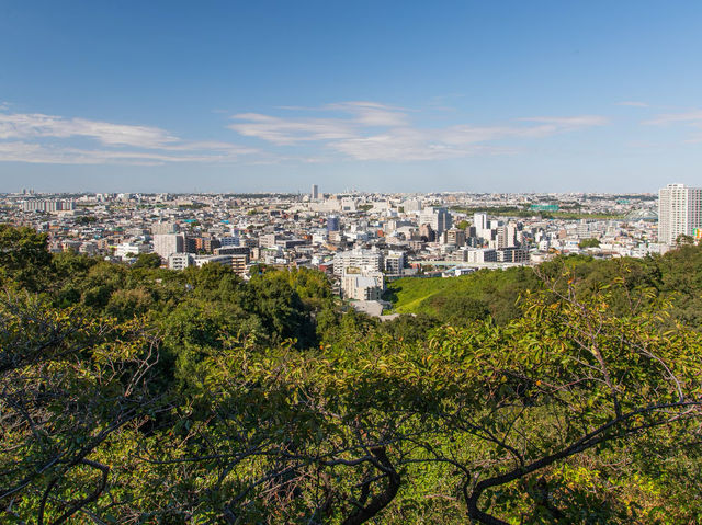 Ikuta Park