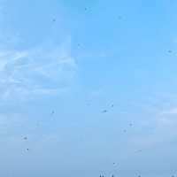 Open Seas, Open Breeze at Marina Barrage