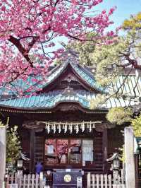 【東京】既に満開の桜が咲くパワースポット