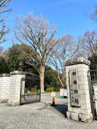 【新宿御苑/東京都】庭園と花が楽しめる場所