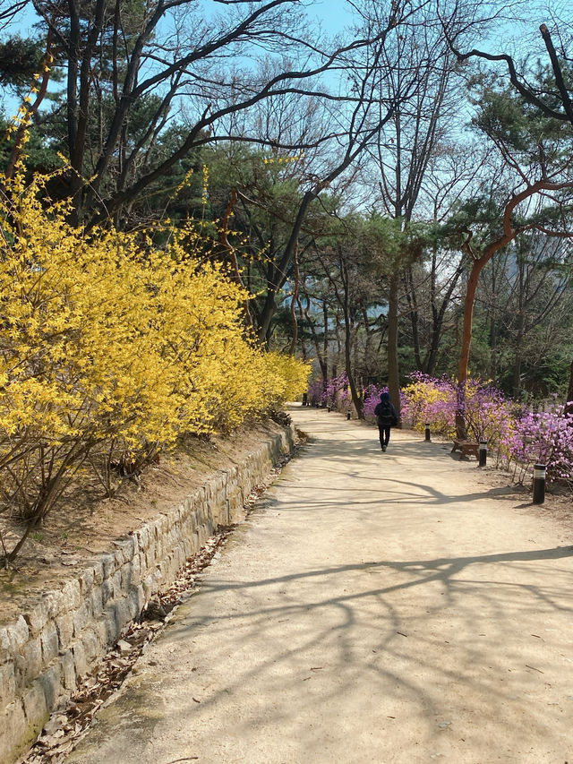 접근성 최고💯 서울 봄데이트 필수 코스는 여기🫶🏻