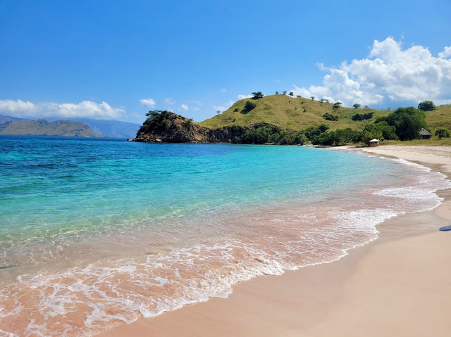 The Pink Beach in Indonesia