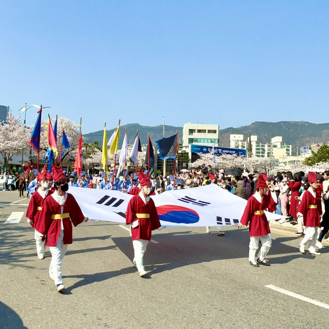 🇰🇷釜山｜賞櫻🌸鎮海賞櫻一日遊